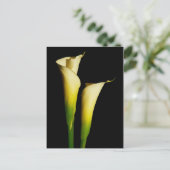 Calla Lilies Postkarte (Stehend Vorderseite)