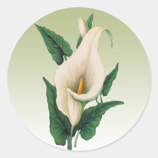 Calla Lilies Sticker (Vorderseite)