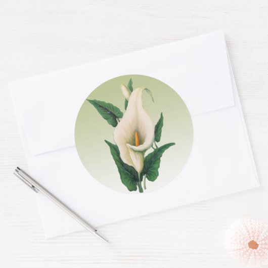Calla Lilies Sticker (Umschlag)