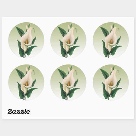 Calla Lilies Sticker (Blatt)