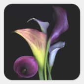 Calla Lilies Stickers (Vorderseite)