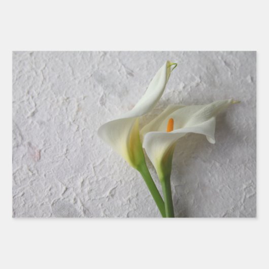 Calla lilies Wrapping Paper Set 3 Geschenkpapier Set (Vorderseite 2)
