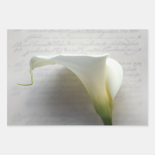 Calla lilies Wrapping Paper Set 3 Geschenkpapier Set (Vorderseite)