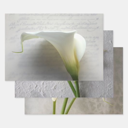 Calla lilies Wrapping Paper Set 3 Geschenkpapier Set (Set)