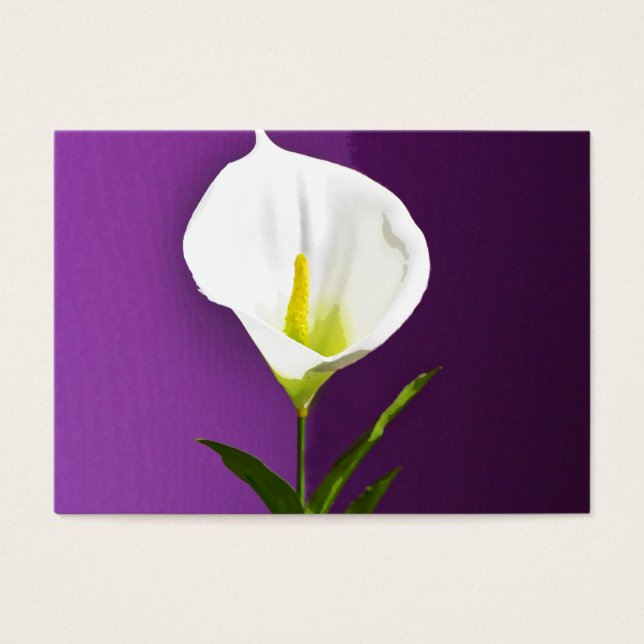 Calla Lilly (Vorderseite)