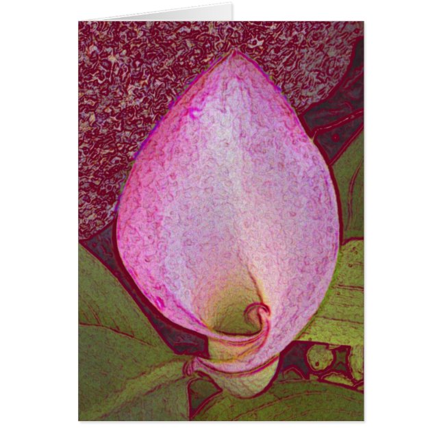 Calla Lilly (Vorne)