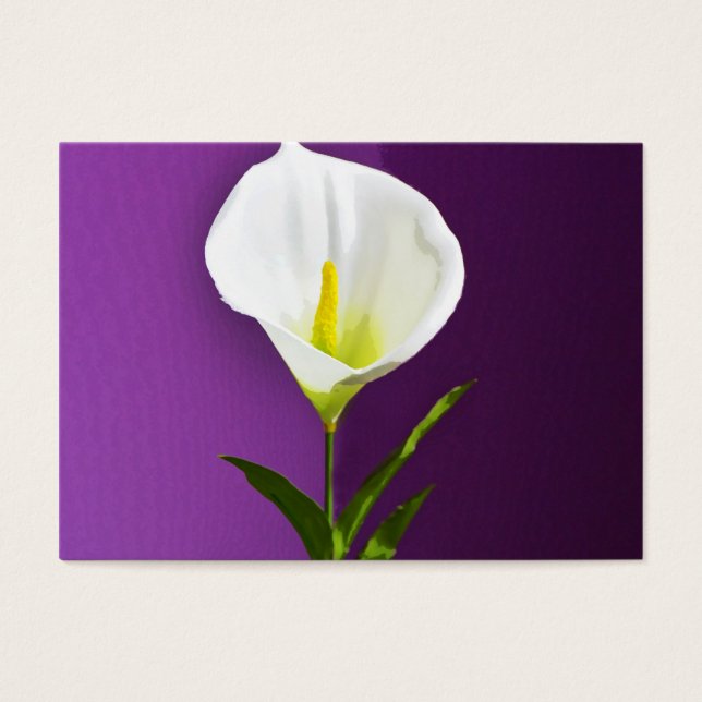 Calla Lilly (Vorderseite)