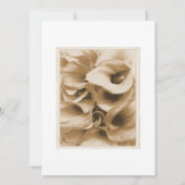 Calla Lilly Einladung (Rückseite)