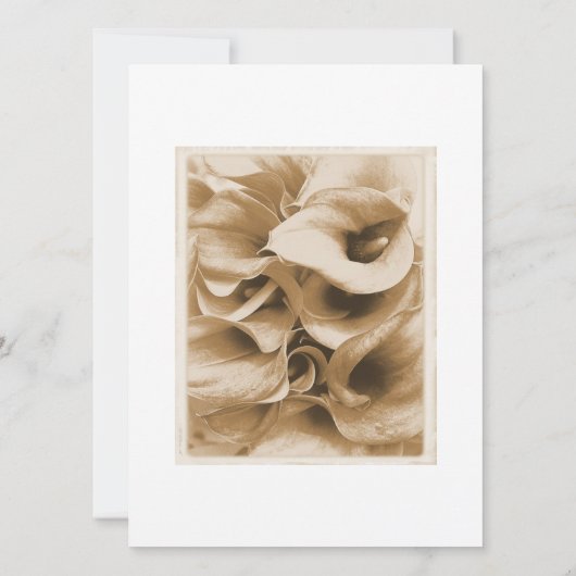 Calla Lilly Einladung (Rückseite)