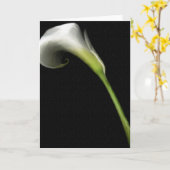 Calla Lilly Grußkarten Karte (Gelbe Blume)