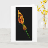 Calla Lilly Karte (Gelbe Blume)