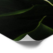 Calla Lilly Poster (Ecke)