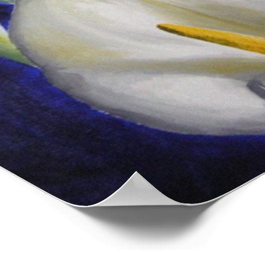 Calla lilly poster (Ecke)