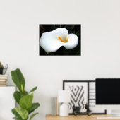 Calla Lilly Poster (Heimbüro)