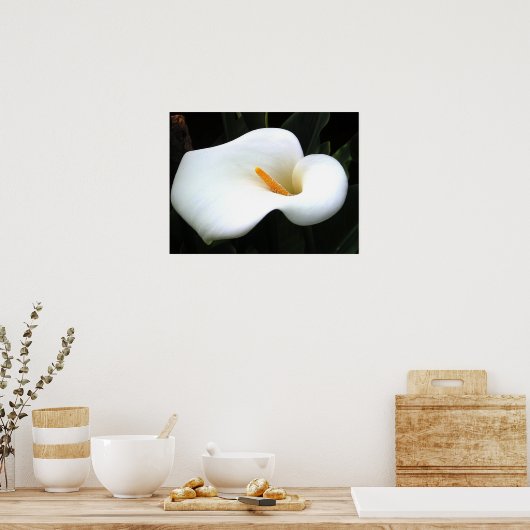 Calla Lilly Poster (Küche)