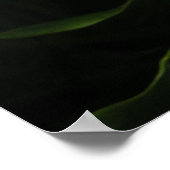 Calla Lilly Poster (Ecke)