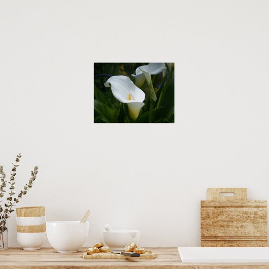 Calla Lilly Print Poster (Küche)
