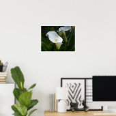 Calla Lilly Print Poster (Heimbüro)