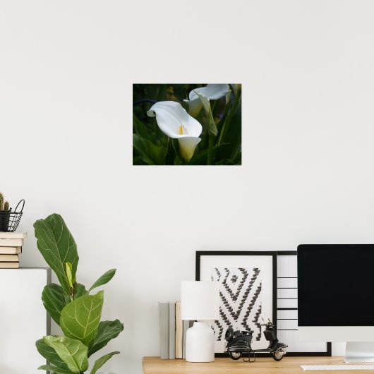 Calla Lilly Print Poster (Heimbüro)