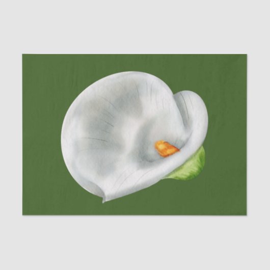 Calla Lilly Seidenpapier (Vorderseite)