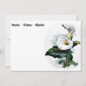 Calla Lily (Vorderseite)