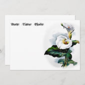 Calla Lily (Vorne/Hinten)