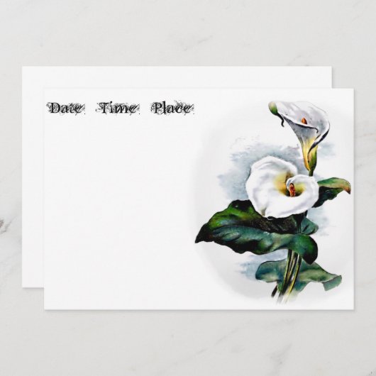 Calla Lily (Vorne/Hinten)