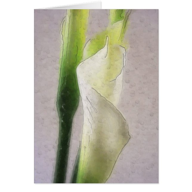 Calla Lily 1 Wassercolor (Vorne)