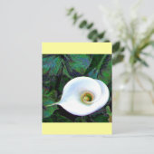 Calla Lily 2011 Postkarte (Stehend Vorderseite)