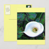 Calla Lily 2011 Postkarte (Vorne/Hinten)