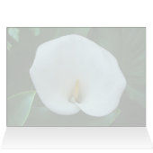Calla Lily - 5" x 7" Art Card (Innenansicht Horizontal (Oben))