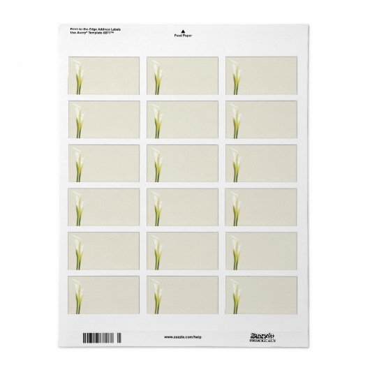 Calla Lily Address Labels Adressaufkleber (Vorne)
