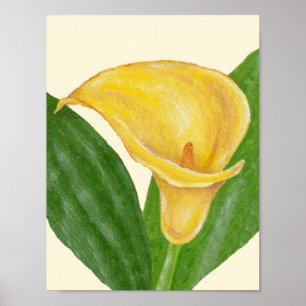 Calla Lily Art Print Poster