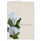 Calla Lily Blume Florenz (Vorne)