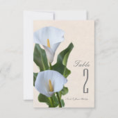 Calla Lily Blume Florenz Elegante Tischnummer (Vorderseite)