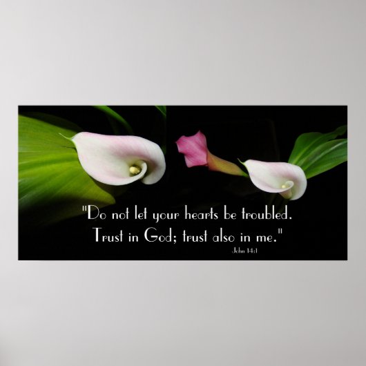 Calla Lily Blume Vertrauen Gottes Schrift drucken Poster (Vorne)