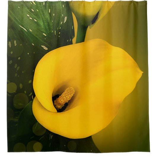 Calla Lily Bright Yellow Blätter Bokeh Duschvorhang (Vorderseite)