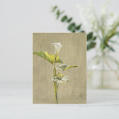 Calla Lily by Fidelia Bridges Postkarte (Stehend Vorderseite)