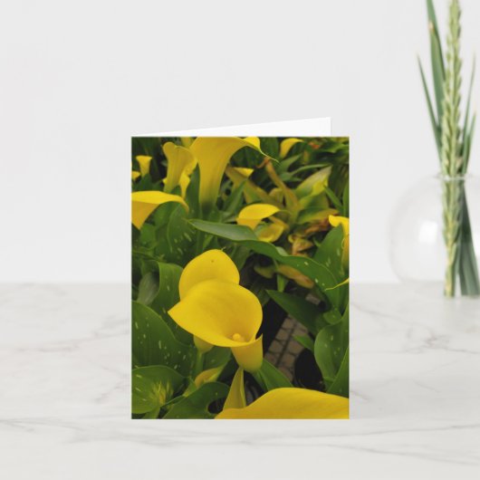 Calla lily dankeskarte (Vorderseite)
