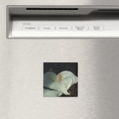 Calla Lily Dawn Magnet (In Situ (Geschirrspüler))