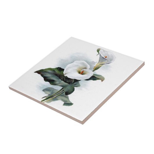 Calla Lily Design Fliese (Seite)
