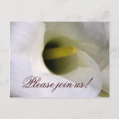 Calla lily Einladung Postcard (Vorderseite)