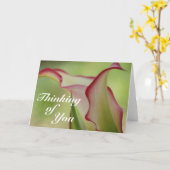 Calla Lily Grußkarte Karte (Gelbe Blume)