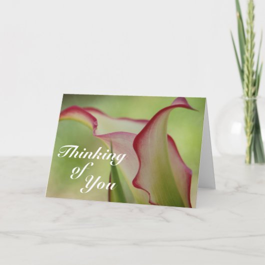 Calla Lily Grußkarte Karte (Vorderseite)