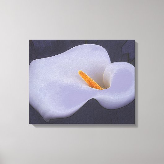 Calla Lily Illustration Leinwand Wanddekor (Vorderseite)