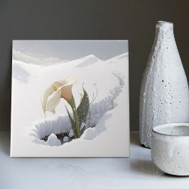 Calla Lily im Berg durch Schnee brechen Fliese