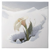 Calla Lily im Berg durch Schnee brechen Fliese (Vorderseite)