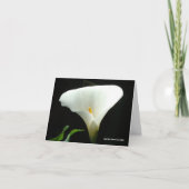 Calla Lily in Black Karte (Vorderseite)