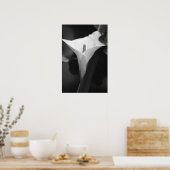 Calla Lily in Schwarz und Weiß Poster (Küche)