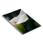 Calla Lily.JPG Notizblock (Rechte Seite)